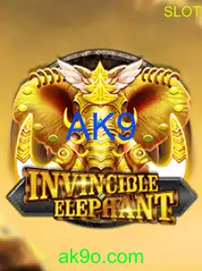 InvincibleElephant